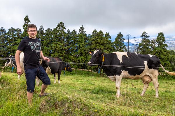 Азорские острова. По&nbsp;зеленым холмам и&nbsp;скалистым берегам