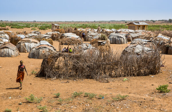 Племена долины Омо: Дессанэч Племена долины Омо: Дессанэч