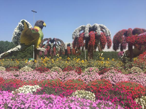 Парк цветов или Dubai Miraclе Garden