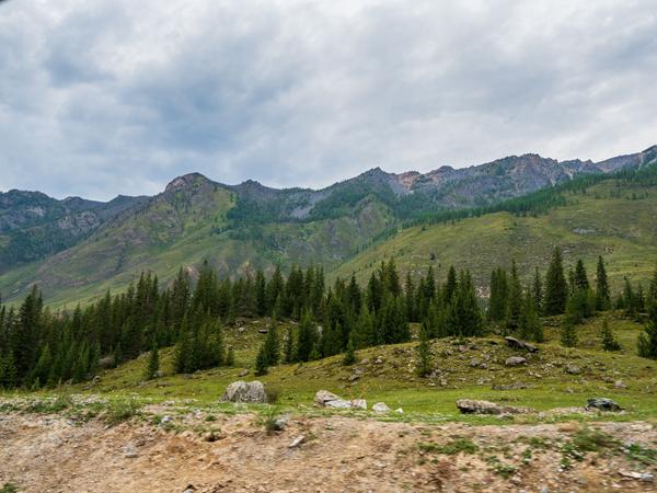 Алтай. Водителям Чуйского тракта.